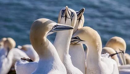 舟山最新的高价医保卡惠民保险代扣怎么取消掉了方法分享(舟山惠民医保怎么报销教程)