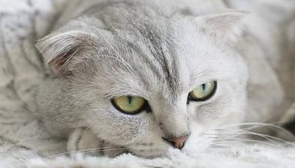 舟山最新的高价医保卡惠民保险代扣怎么取消掉了方法分享(舟山惠民医保怎么报销教程)