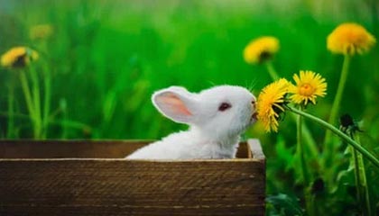 舟山最新的高价医保卡惠民保险代扣怎么取消掉了方法分享(舟山惠民医保怎么报销教程)